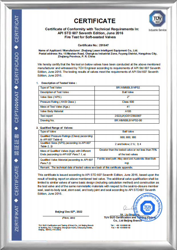 API 607 ​​Ignis Certification (BR.W8/600 LB NPS2)